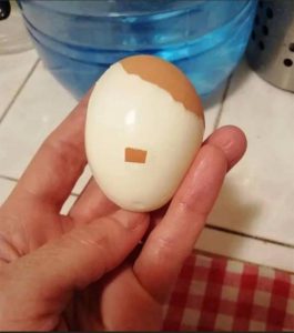 Adolf Egg