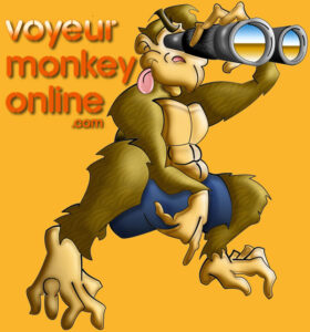 The Voyeur Monkey Network