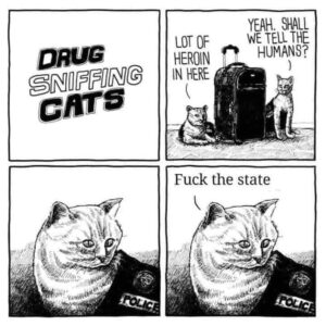 Cats