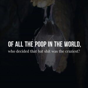 All the poop in the world