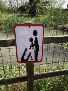 Do not feed the alligators